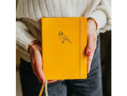 bullet journal s tečkami
