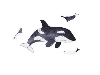 mini wooden puzzle orca by epipi