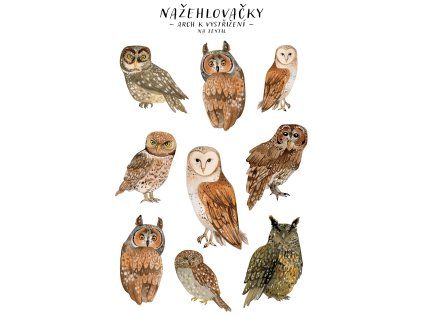 nazehlovacky sovy mockup