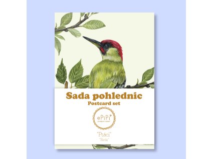 ptaci pohlednice sada